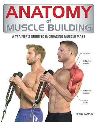 Anatomy of Muscle Building: A Trainer's Guide to Increasing Muscle Mass By Craig Ramsay Cover Image