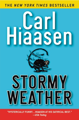 Cover for Stormy Weather