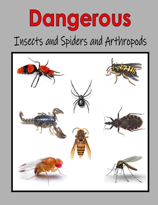 Dangerous Insects and Spiders and Arthropods: Internet Activities that explore Nature and Wildlife Cover Image