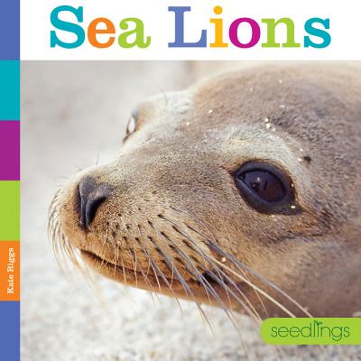 Seedlings: Sea Lions By Kate Riggs Cover Image