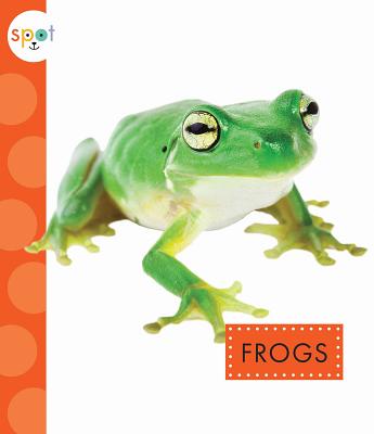 Frogs (Spot) By Marysa Storm Cover Image