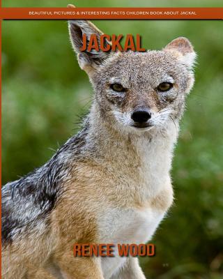 Jackal: Beautiful Pictures & Interesting Facts Children Book about Jackal  (Paperback) | Yankee Bookshop
