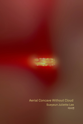 Aerial Concave Without Cloud By Sueyeun Juliette Lee Cover Image