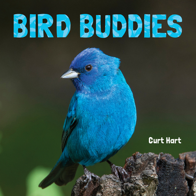 Bird Buddies Cover Image