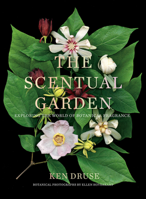 The Scentual Garden: Exploring the World of Botanical Fragrance By Ken Druse, Ellen Hoverkamp (By (photographer)) Cover Image
