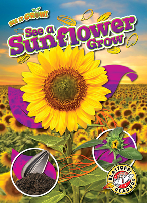 See a Sunflower Grow By Kirsten Chang Cover Image