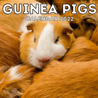 Guinea Pigs Calendar 2022: 16-Month Calendar, Cute Gift Idea For Girls