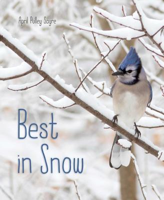Cover for Best in Snow (Weather Walks)