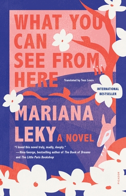 What You Can See from Here: A Novel By Mariana Leky, Tess Lewis (Translated by) Cover Image