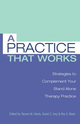A Practice That Works: Strategies to Complement Your Stand Alone Therapy Practice Cover Image