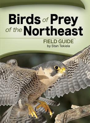 Birds of Prey of the Northeast Field Guide (Bird Identification Guides)
