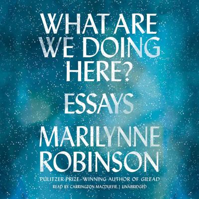 What Are We Doing Here?: Essays Cover Image