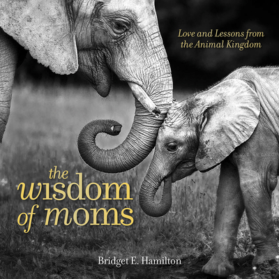 The Wisdom of Moms: Love and Lessons From the Animal Kingdom By Bridget Hamilton Cover Image