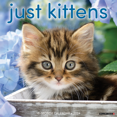 Just Kittens 2024 12 X 12 Wall Calendar Cover Image