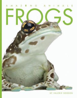 Frogs (Amazing Animals) (Paperback) | Books and Crannies