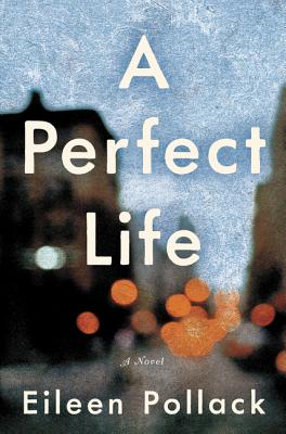 Cover for A Perfect Life: A Novel