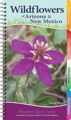 Wildflowers of Arizona & New Mexico: Your Way to Easily Identify Wildflowers (Adventure Quick Guides) Cover Image