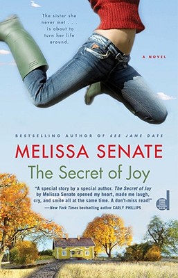 Cover for The Secret of Joy