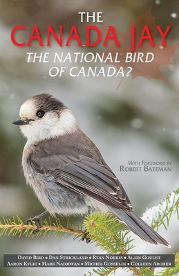 The Canada Jay: The National Bird of Canada? By David Bird, Dan Strickland, Ryan Norris Cover Image