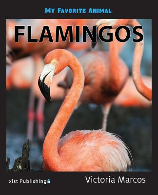 My Favorite Animal: Flamingos By Victoria Marcos Cover Image