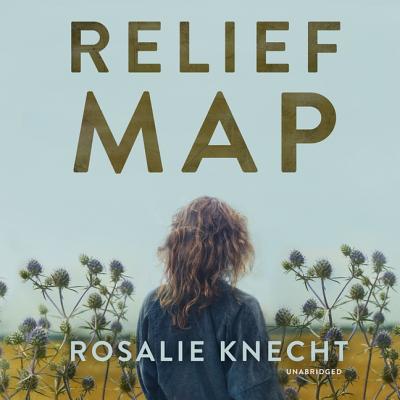 Relief Map By Rosalie Knecht, Caitlin Davies (Read by) Cover Image