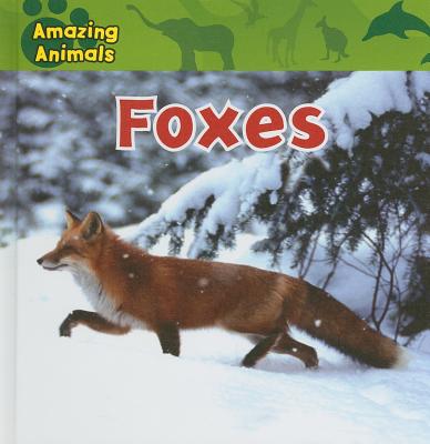 Foxes (Amazing Animals) Cover Image