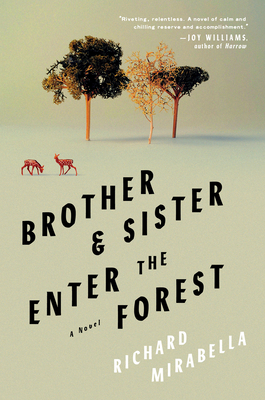 Brother & Sister Enter the Forest: A Novel By Richard Mirabella Cover Image