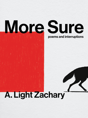 More Sure By A. Light Zachary Cover Image