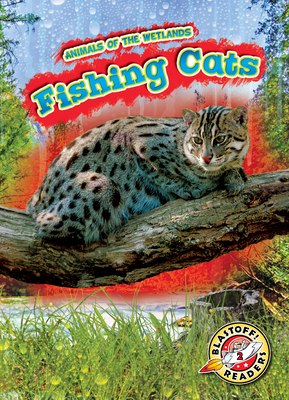 Fishing Cats By Karen Kenney Cover Image