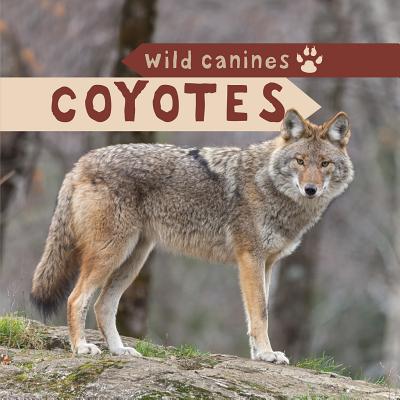 Coyotes (Wild Canines) Cover Image