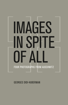 Cover for Images in Spite of All