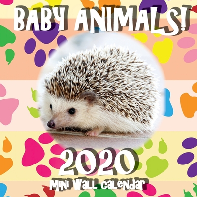 Baby Animals! 2020 Mini Wall Calendar By Sea Wall Cover Image