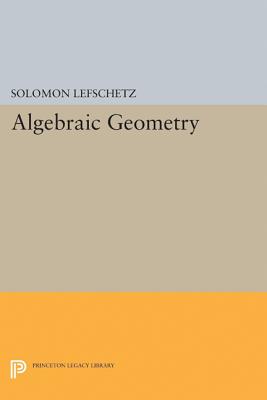 Algebraic Geometry (Princeton Legacy Library #2105) Cover Image