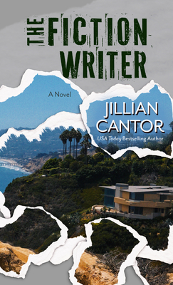 The Fiction Writer Cover Image