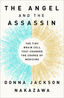Cover for The Angel and the Assassin