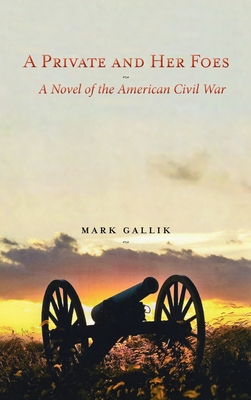 A Private and Her Foes: A Novel of the American Civil War By Mark Gallik Cover Image