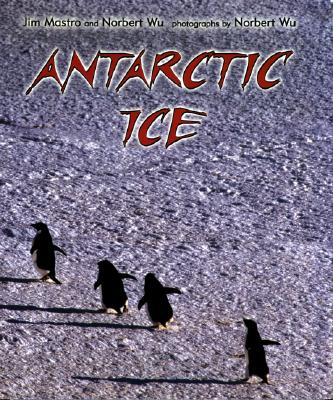 Antarctic Ice Cover