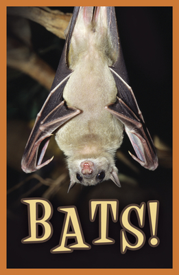 Bats! (KJV 25-Pack)