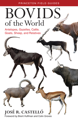 Bovids of the World: Antelopes, Gazelles, Cattle, Goats, Sheep, and Relatives (Princeton Field Guides #104) By José R. Castelló, Brent Huffman (Foreword by), Colin Groves (Foreword by) Cover Image