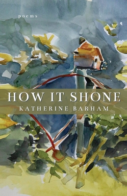 How It Shone Cover Image