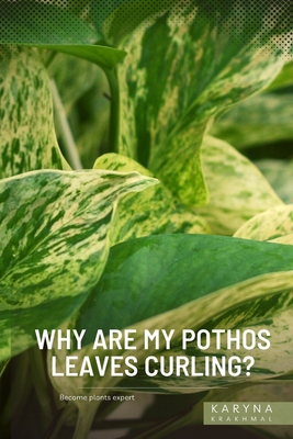 Why Are My Pothos Leaves Curling?: Become plants expert By Karyna Krakhmal Cover Image