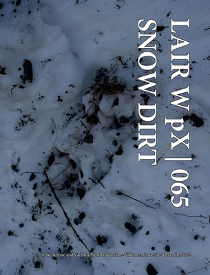 LAIR W pX 065 Snow Dirt Cover Image