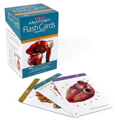 Anatomy Flash Cards (Barron's Test Prep) Cover Image