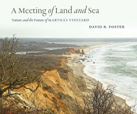 A Meeting of Land and Sea: Nature and the Future of Martha’s Vineyard
