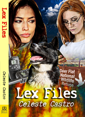 Cover for Lex Files