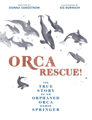 Orca Rescue!: The True Story of an Orphaned Orca Named Springer Cover Image