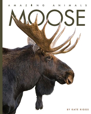 Moose (Amazing Animals) Cover Image