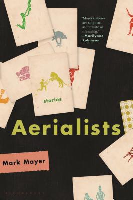 Cover Image for Aerialists: Stories