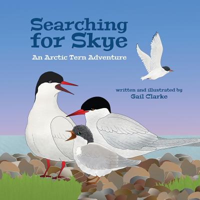 Searching for Skye: An Arctic Tern Adventure By Gail Clarke Cover Image