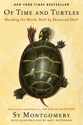 Of Time and Turtles: Mending the World, Shell by Shattered Shell Cover Image